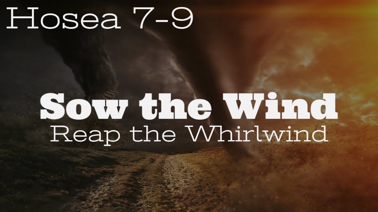 Sow the Wind: Reap the Whirlwind