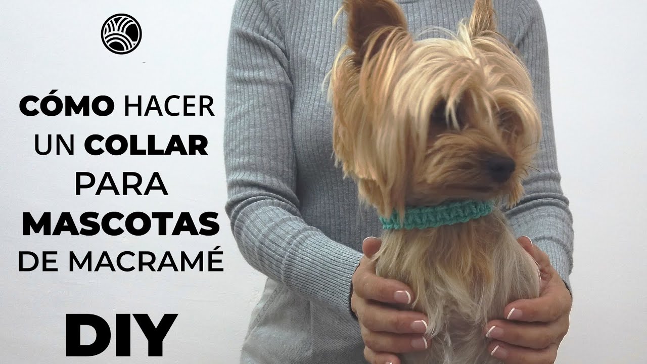 Tutorial de diy. Collar para mascotas de macramé muy fácil