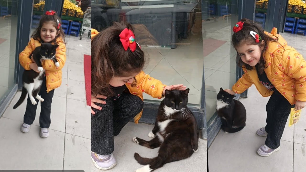 MARKETTE KEDİ VAR🐈‍⬛😯😆