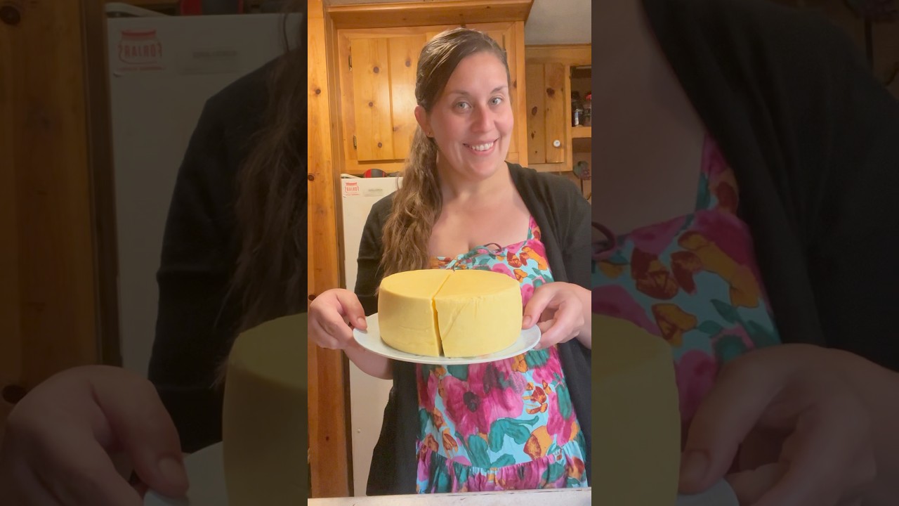 Lets take our Asiago cheese out of the brine #farm #farmhouse #cheese #dairycow