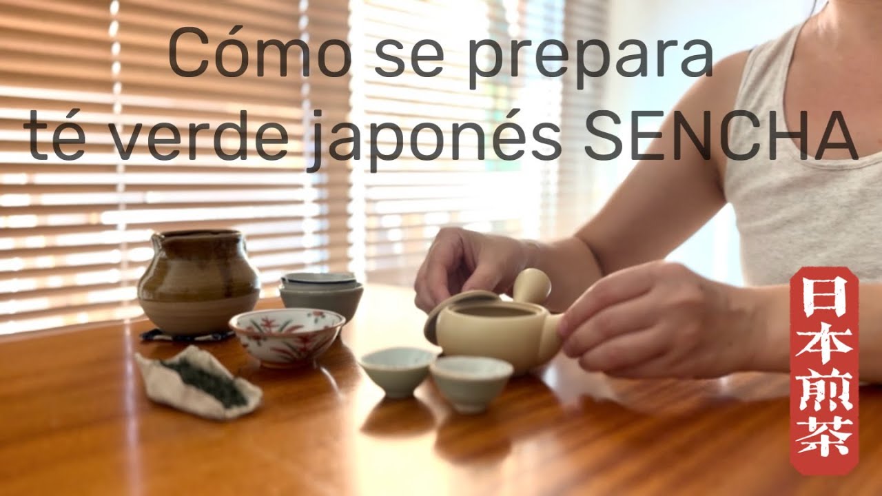 Cómo se preparar el té verde japonés Sencha | SENCHA Sae
