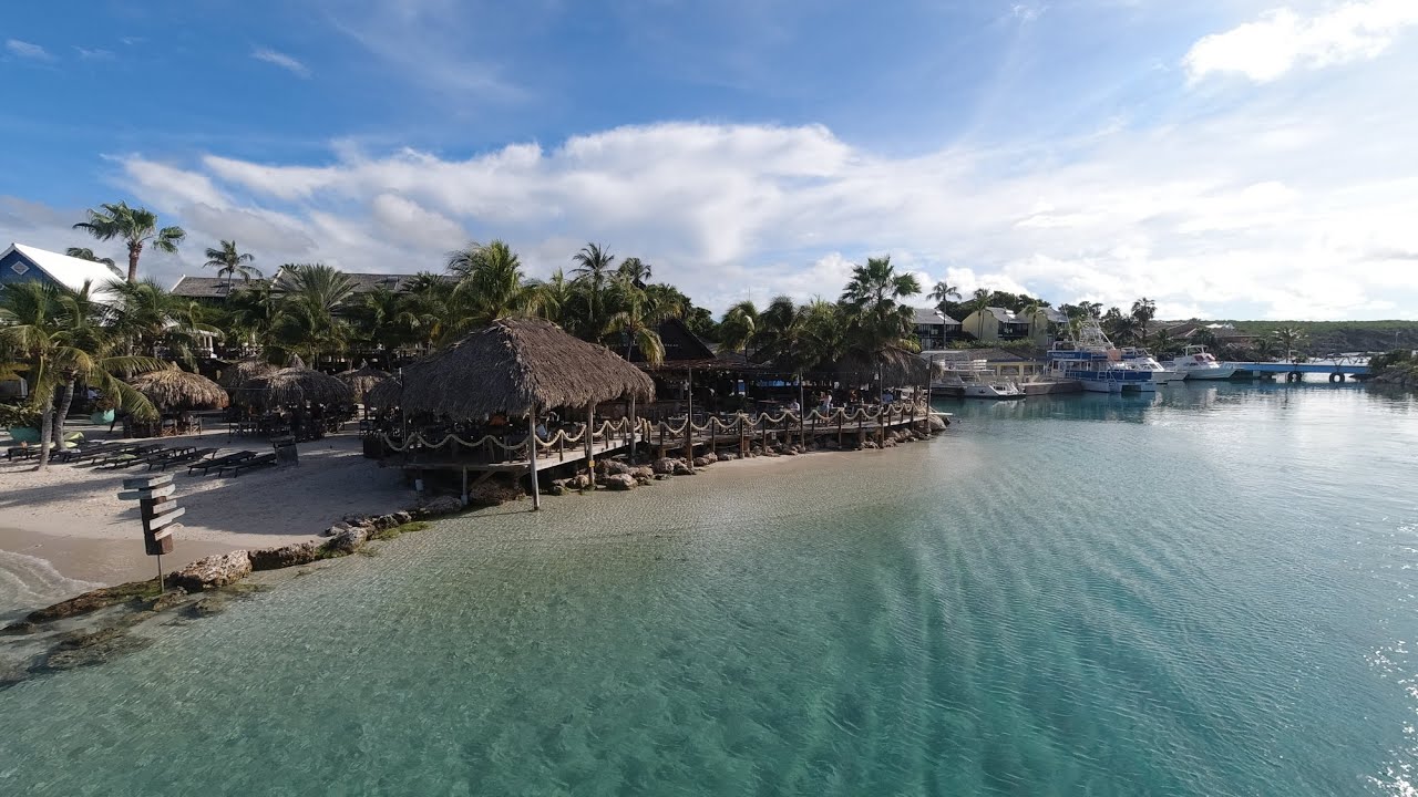Cura&ccedil;ao 2020 - Ocean Encounters