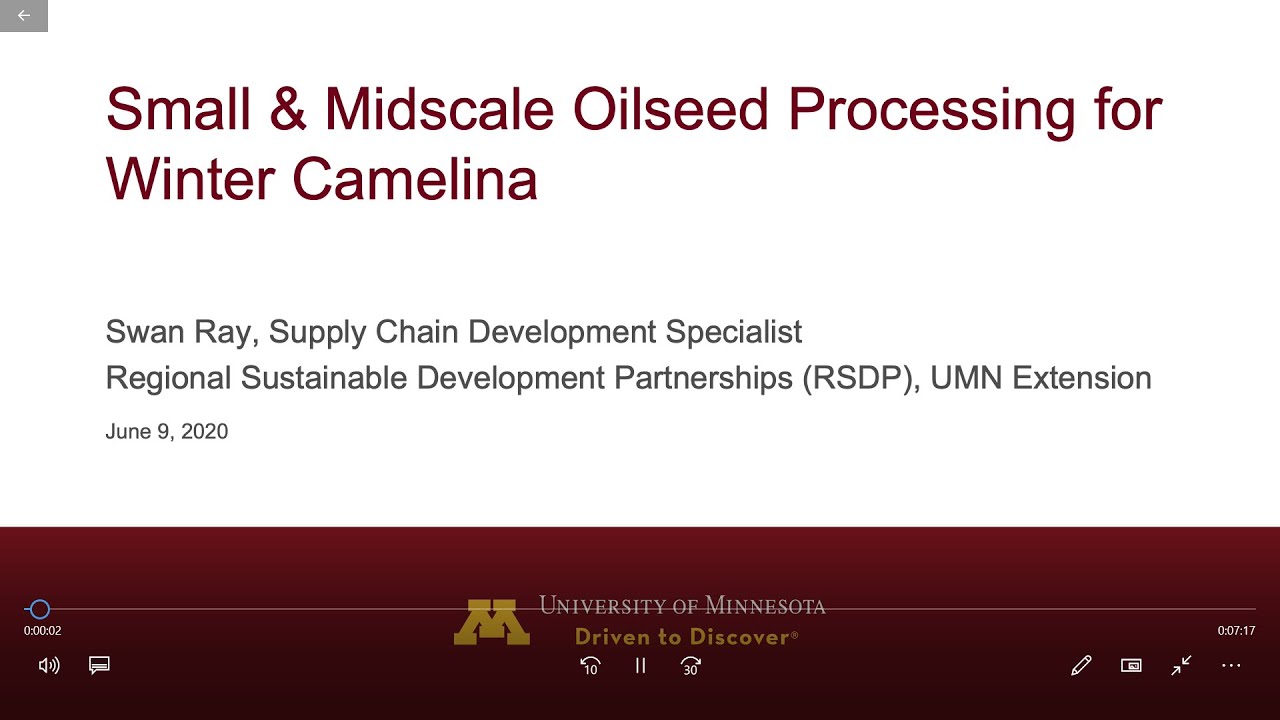 Small and Midscale Oilseed Processing for Winter Camelina in Minnesota
