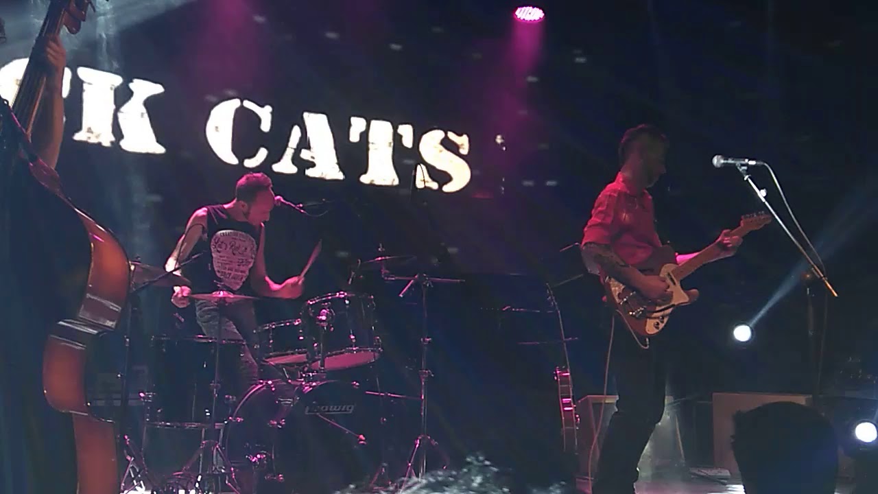 Black Cats ; Misirlou