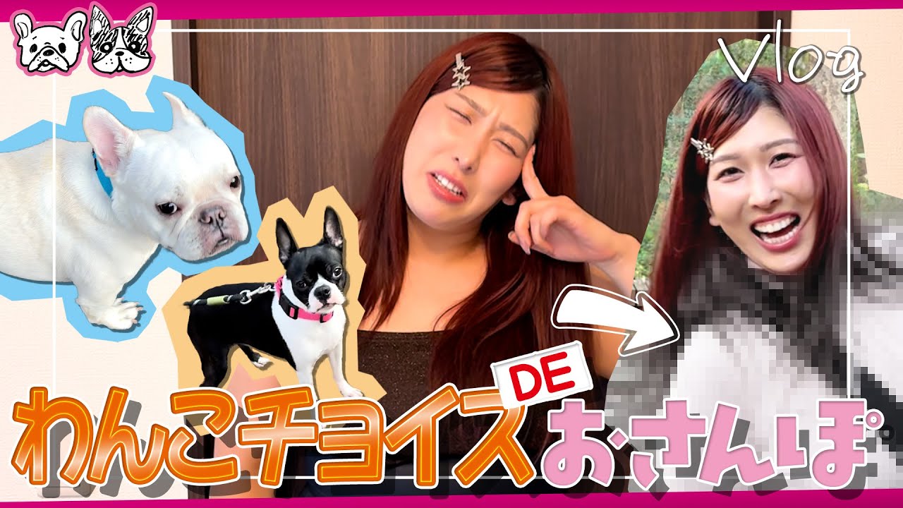 【vlog】犬が選んだ服でお散歩してみたら、今日も主導権はこの子たちでした🐶