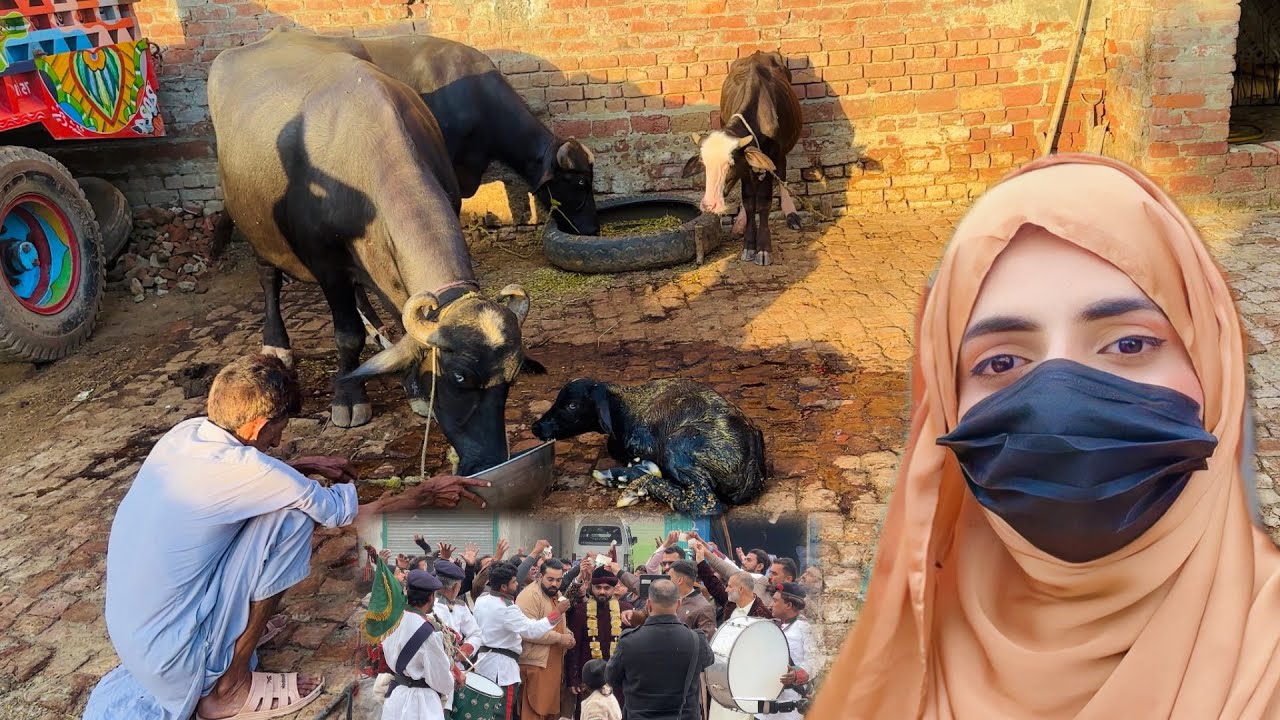 ALLAH ka  Shukar Hai 🥰 Shadi Aor Good News 👫 Hamza Sidhu | Zaini Baji 