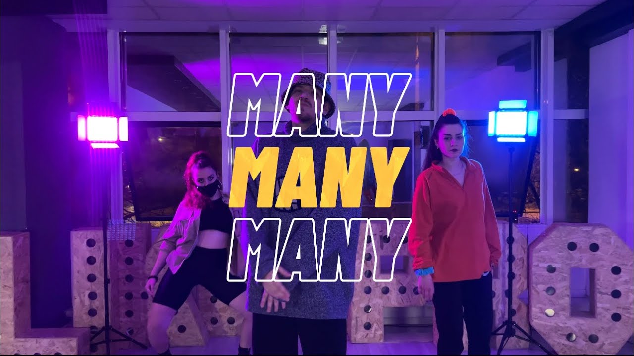 MANY | Hawk X Turtle X Baghdad | Class by Zineta