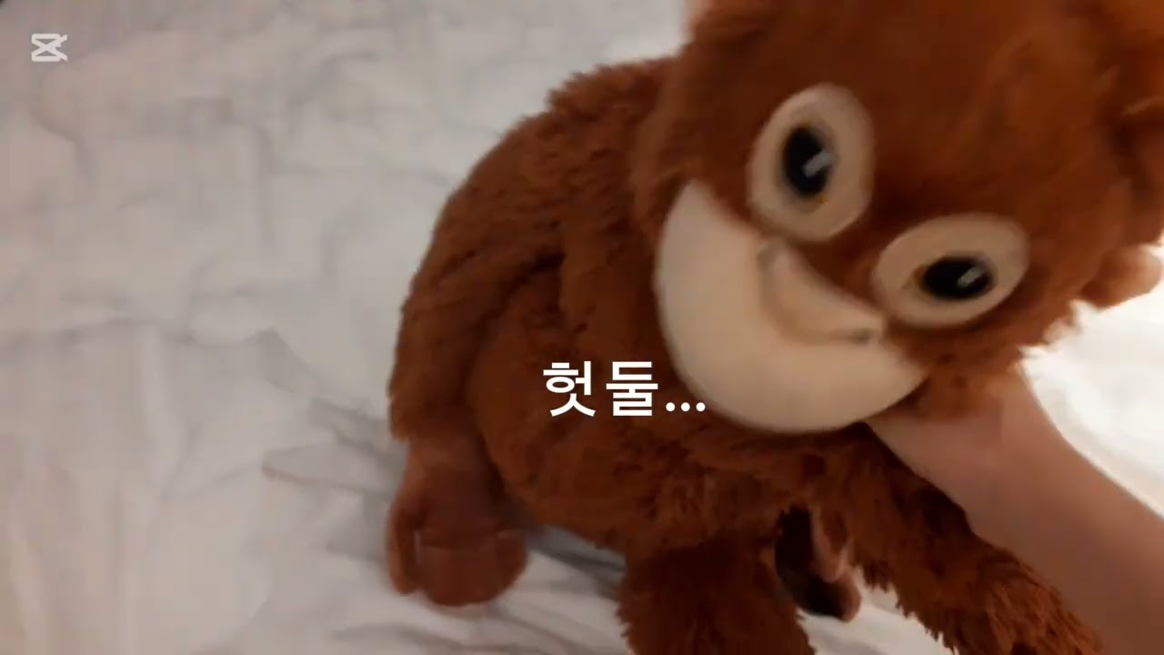 여행 브이로그🐘🦊🦧