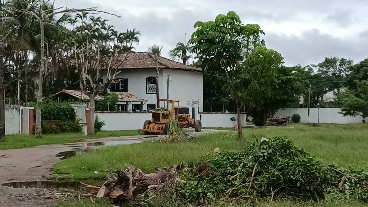 CIDADE DE GUARUJÁ -SP.. PESSOAS CRIAM BOIS SOLTO NAS RUAS DOS BAIRROS. 😳🧐