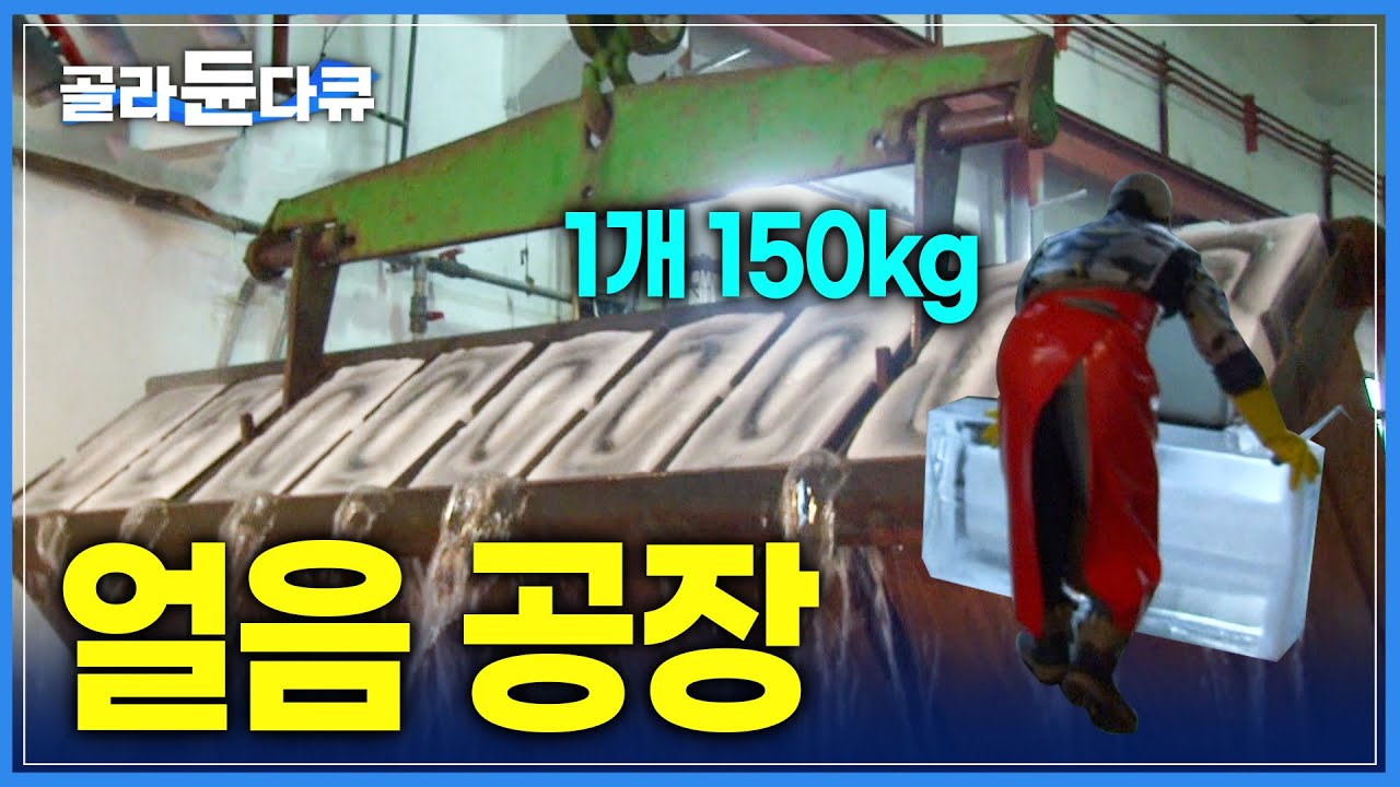 24시간이 모자라! 여름 성수기 '얼음 공장' | 무더운 날씨에 가장 일하기 좋은 직업? | 얼음 한 개 무게 150kg | 얼음공장 | 극한직업 | #골라듄다큐