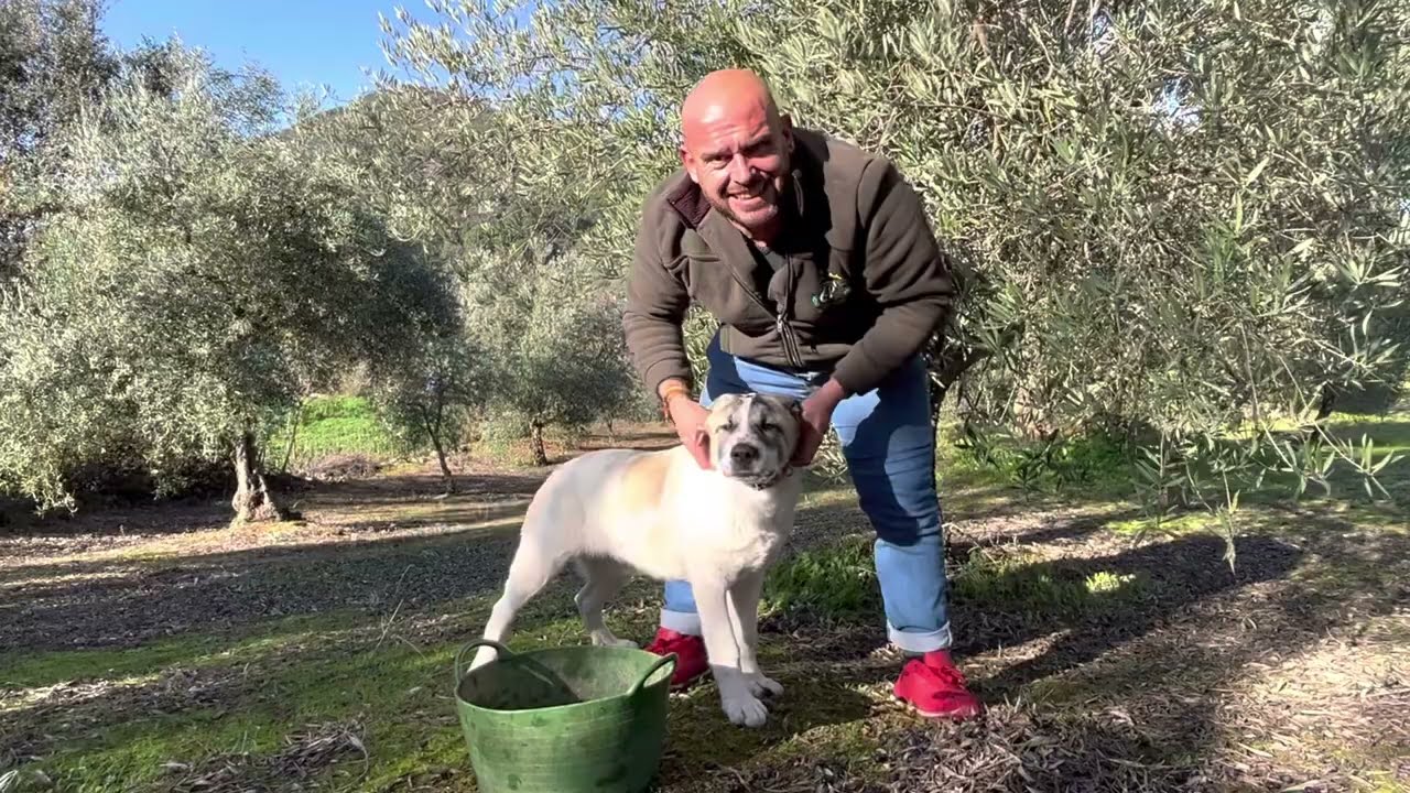 Mirad Camperos Miguel el padre de la Martica que invento tiene 👍😘♥️siempre parriba Mi Gente.