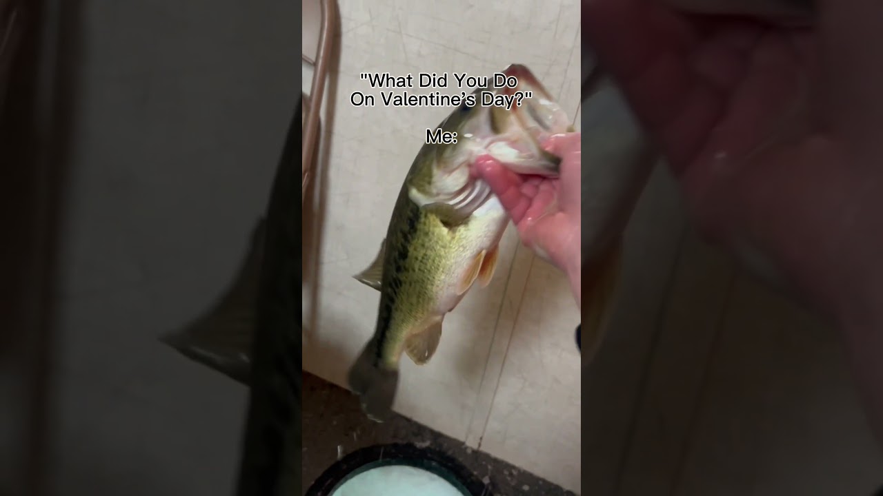 Fishing on Valentine&rsquo;s Day#fishing #icefishing #fish #bassfishing
