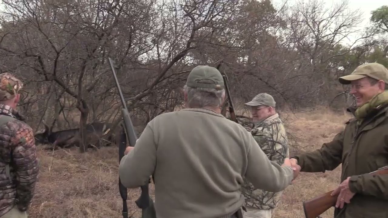 Nkwazi Safaris - A typical day in the field