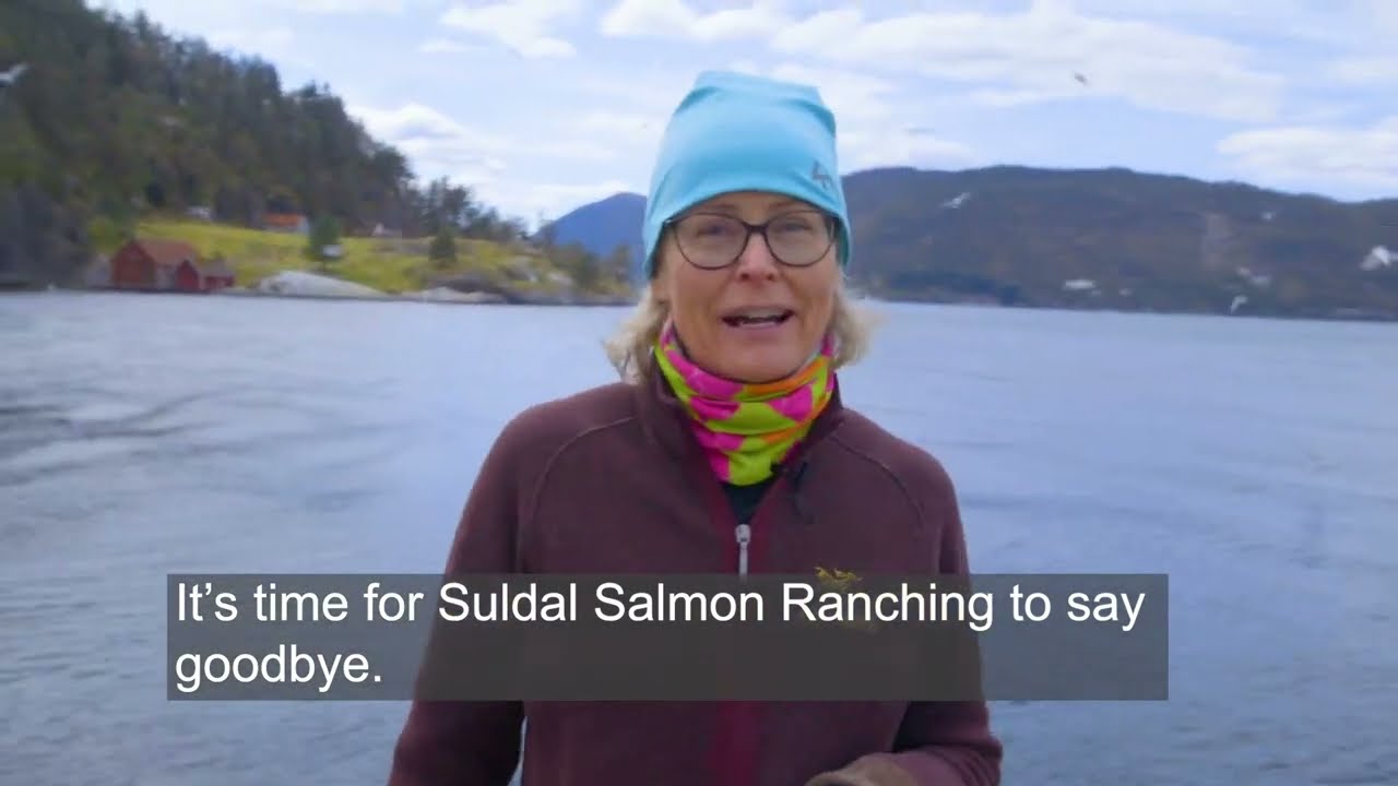 Salmo suldal: Cultivating the salmon