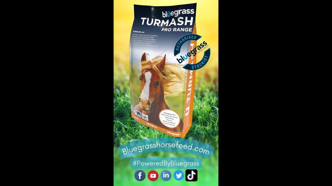 Bluegrass Turmash Horse Feed - Conditioning Mash