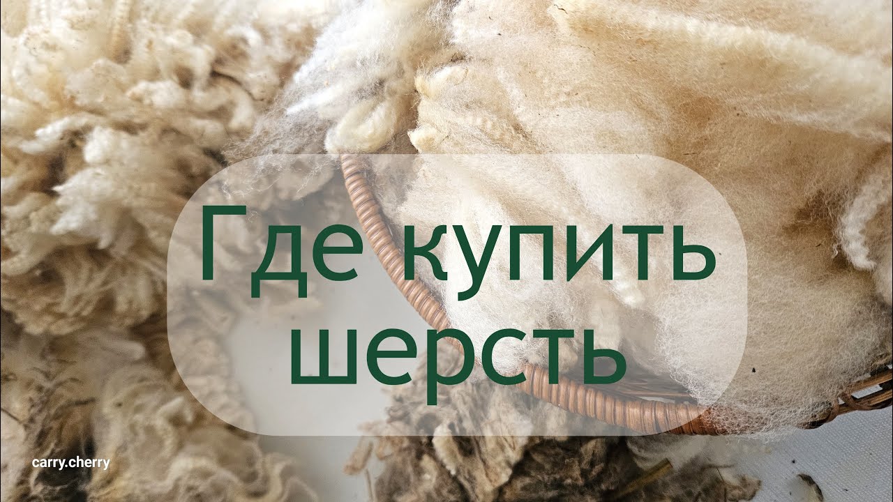Где купить шерсть? Оксфорд даун - ООО Кроноборг (Карелия)