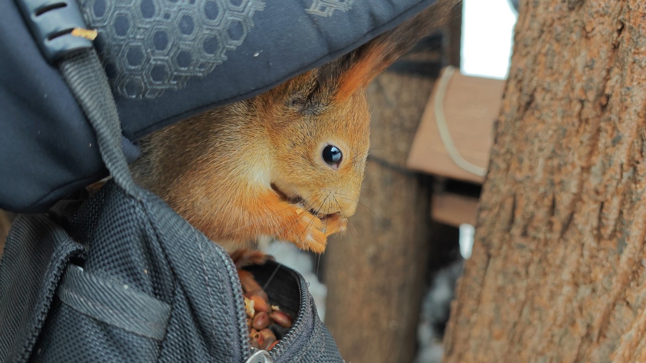 Я в домике! 🤗🎧 My house!