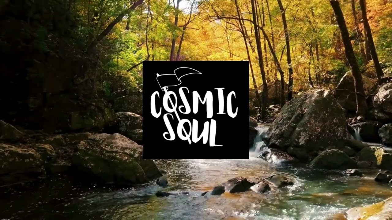 Cosmic Soul   Love
