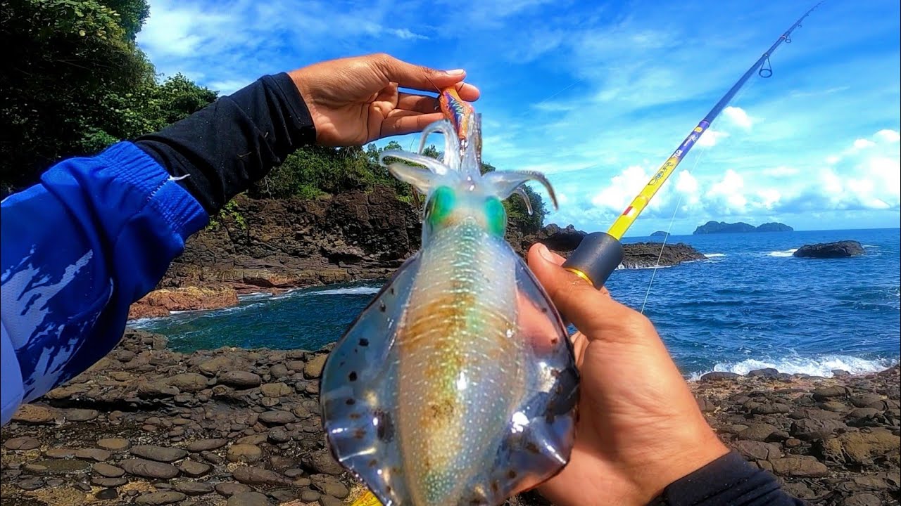 CUMI-CUMI MULAI AKTIF ‼️ OMBAK TENANG WAKTU TERBAIK MANCING CUMI PINGGIR LAUT