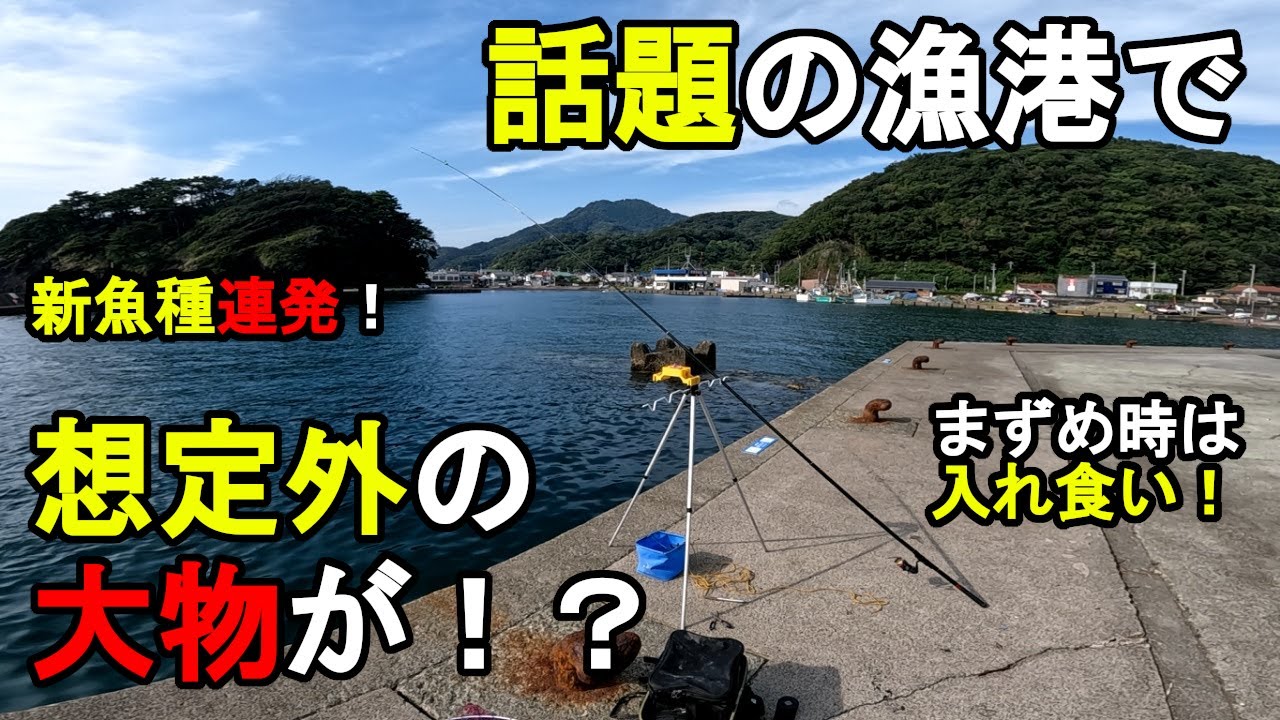 【仁科漁港】話題の漁港で想定外の大物が！？真夏のお盆休み期間の8月中旬、東海地方にある、静岡県の伊豆半島の西伊豆町にある駿河湾に面した漁港で釣りしてみたら新魚種が連発して…！【2024年8月11日】