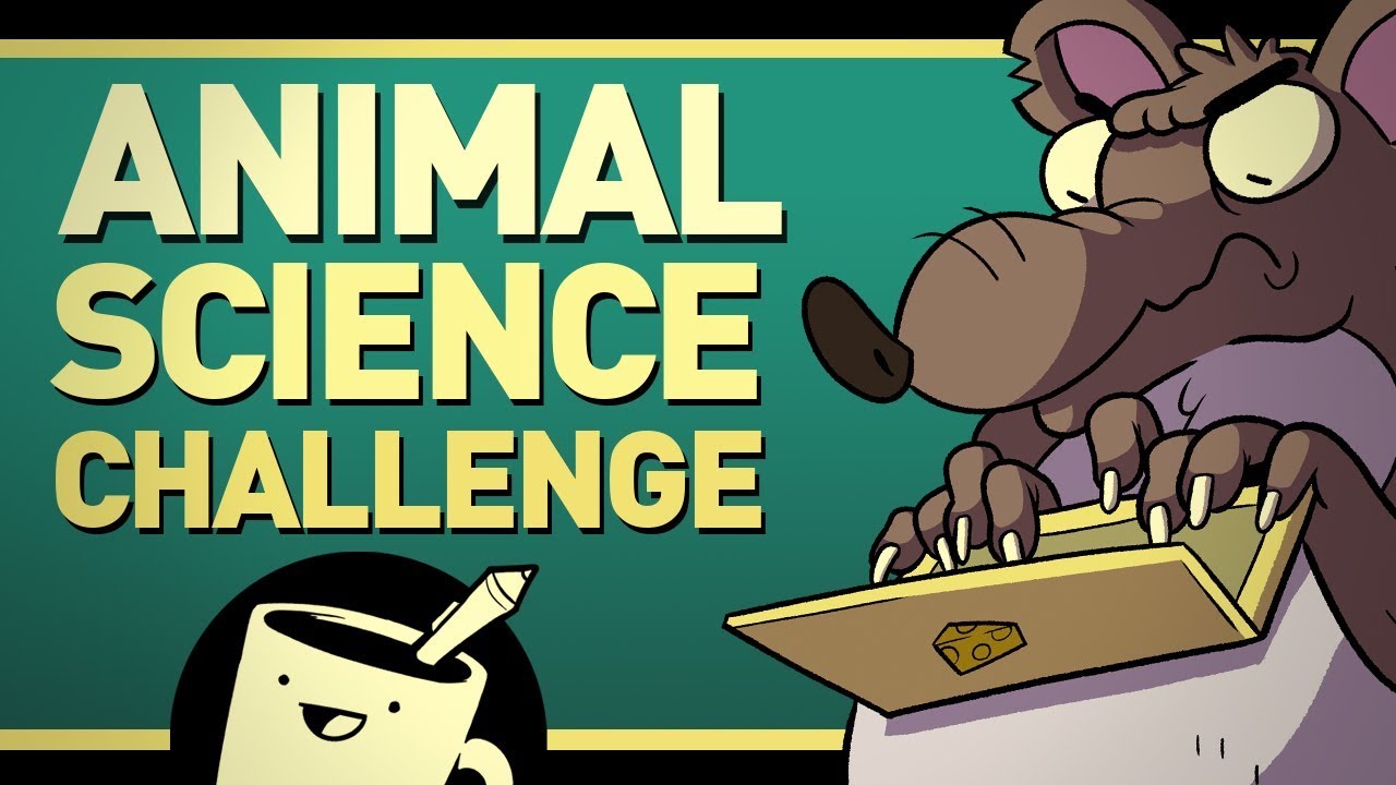 Artists Draw Animals Based On Their Scientific Names