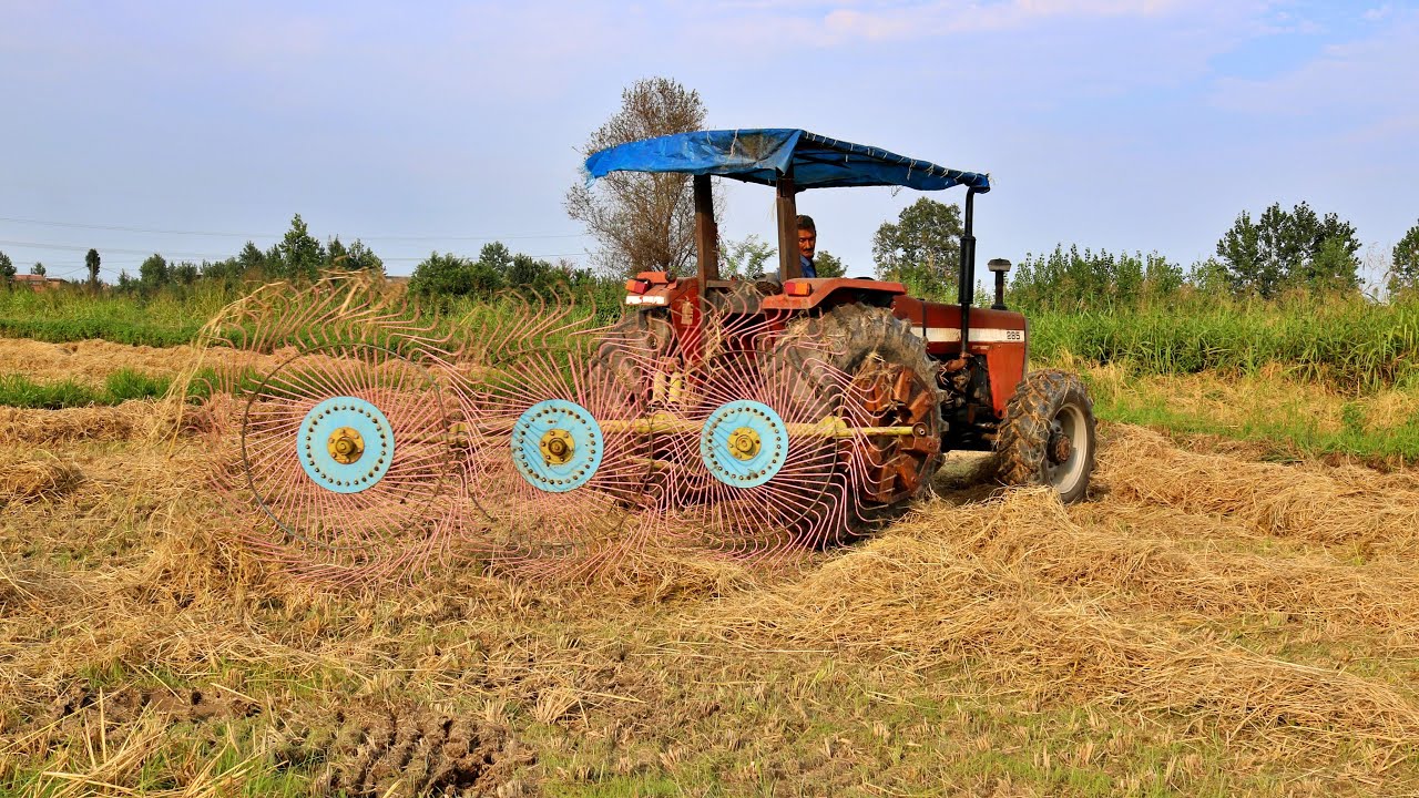 Baling Rice Straw In Unique Rice Fields Iran