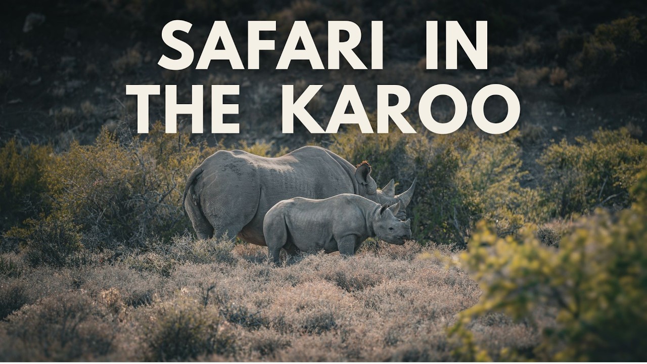 Finding the Elusive BLACK RHINO | Karoo National Park | Ep. 2