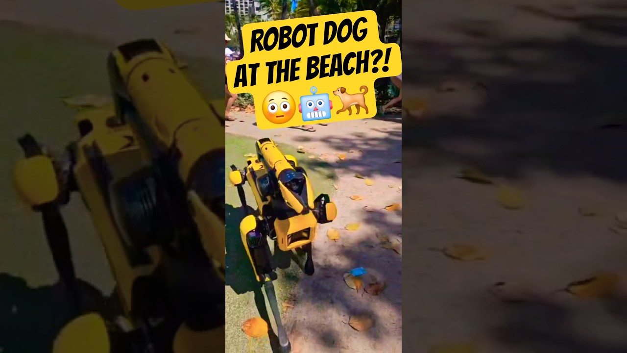 US Army Robot Dog Walks Up To Me At The Beach 😳🐕🤖 #Shorts