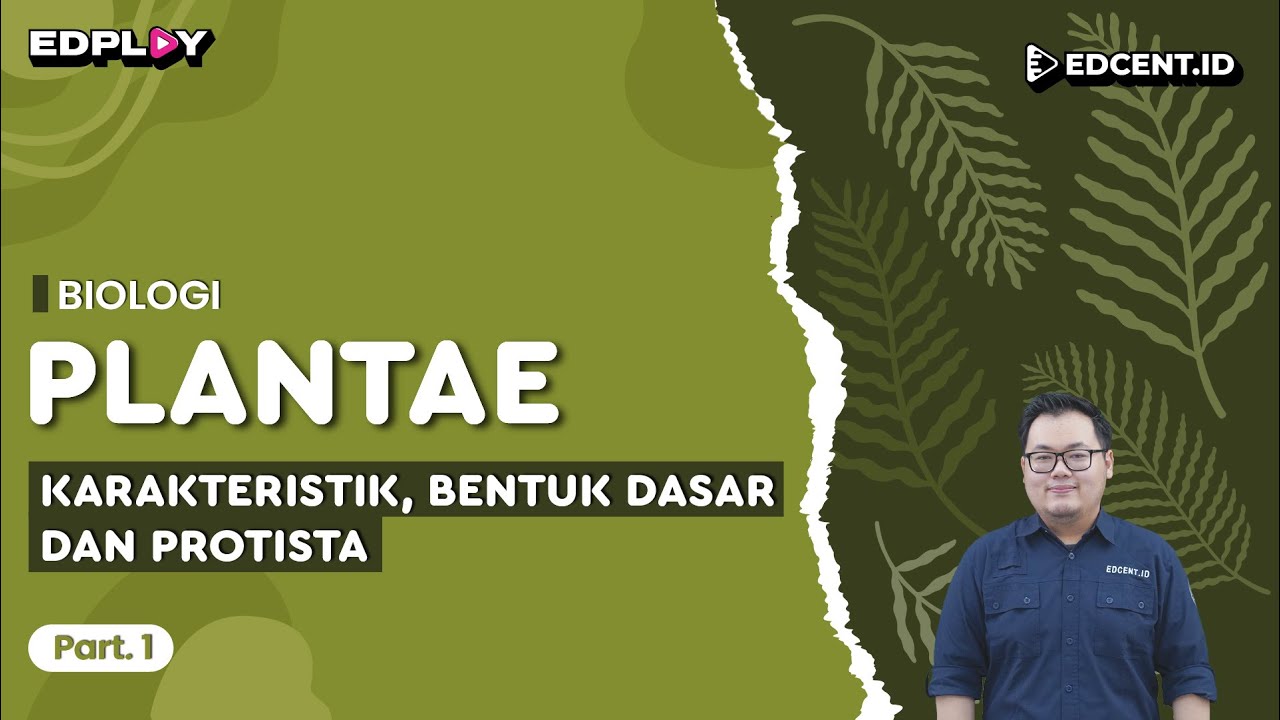 Materi Biologi: Kingdom Plantae | Karakteristik, Bentuk Dasar, & Protista | Part 1