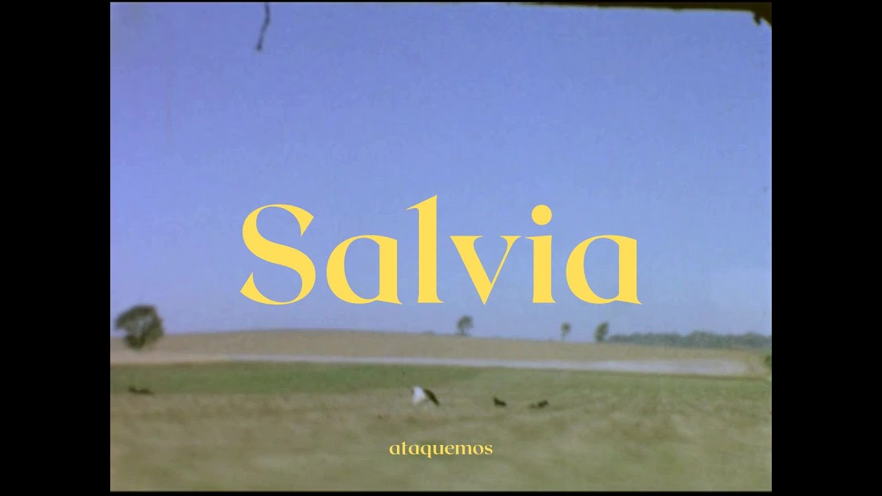 Salvia (letra)