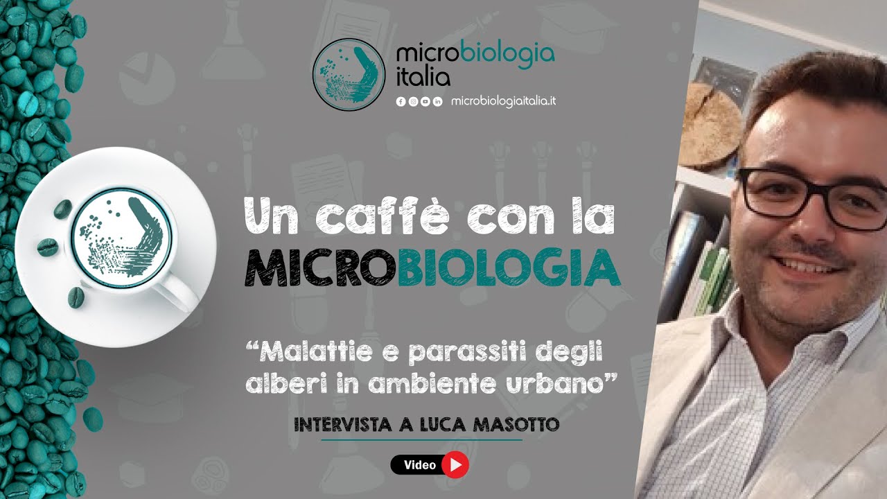 Malattie e parassiti degli alberi in ambiente urbano - Un caffè con la Microbiologia (Episodio #5)