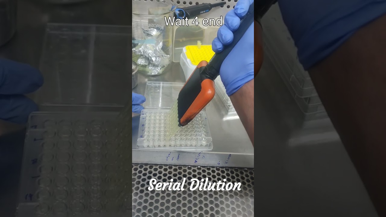 Broth dilution #serial #dilution #microbiology #genomics