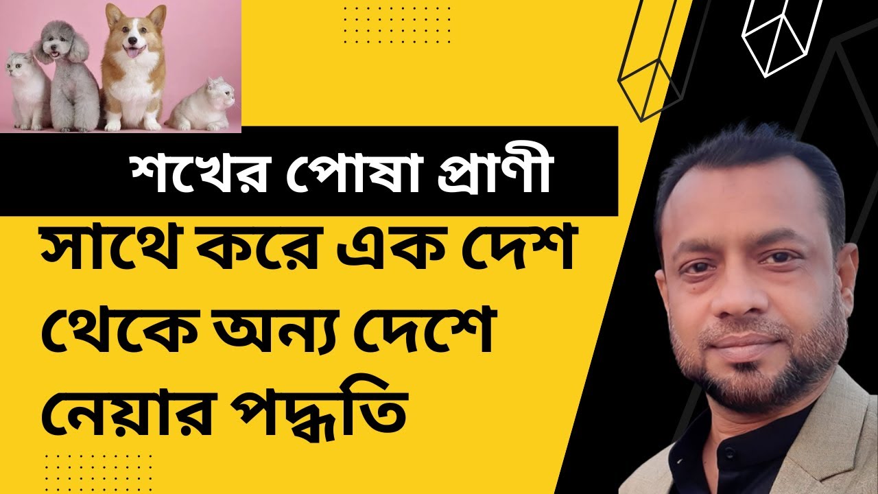 শখের পোষা প্রাণী সাথে করে এক দেশ থেকে অন্য দেশে নেয়ার পদ্ধতি