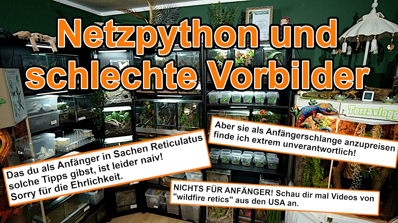 Netzpython Anfängerschlange und schlechte Vorbilder auf Youtube! Über den Kommentar müßen wir reden!