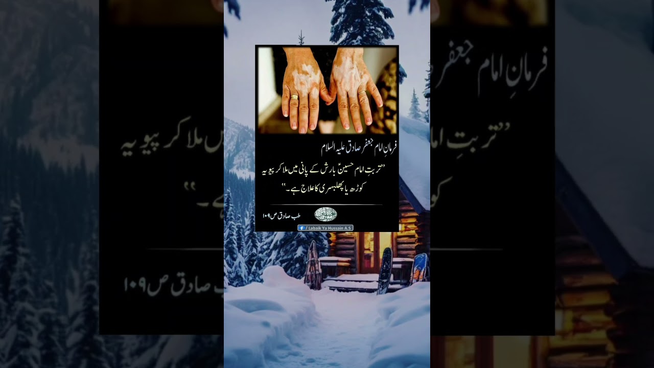 Hazrat Imam Jafar Sadiq a.s said || Hazrat Jafar Sadiq a.s quotes #viral #shorts #quotes #video