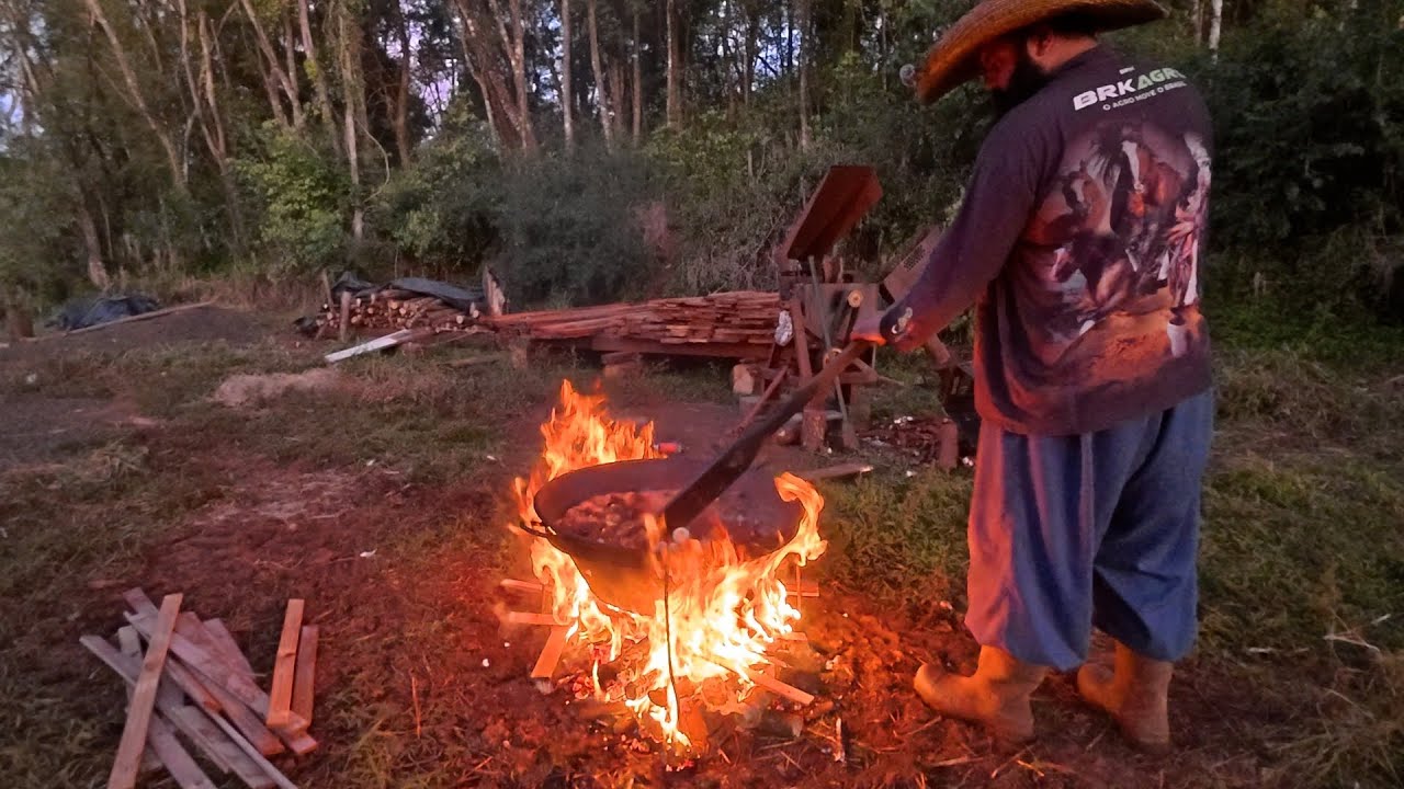 cozinhando mandioca milho e soja para os porcos
