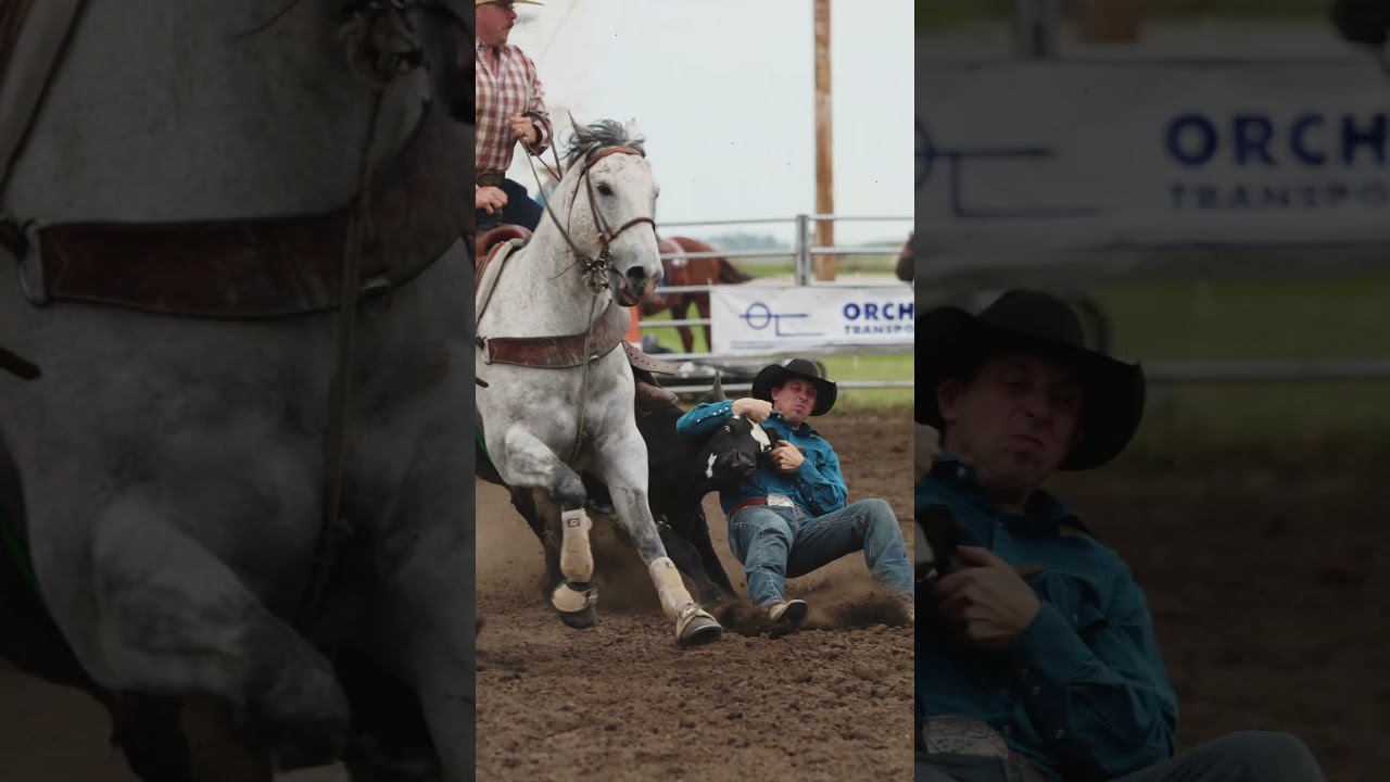 Epic Steer Wrestling action  #cowboys #rodeo #slowmo