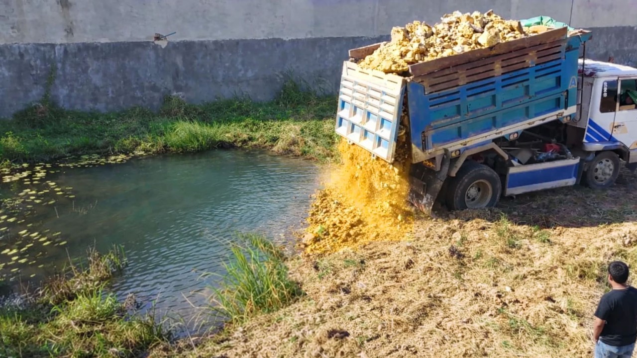 Be Wacthful Started New Project!DumpTruck Pouring Soil Flood Feild,BySkillful Dozer D31 Pushing Soil