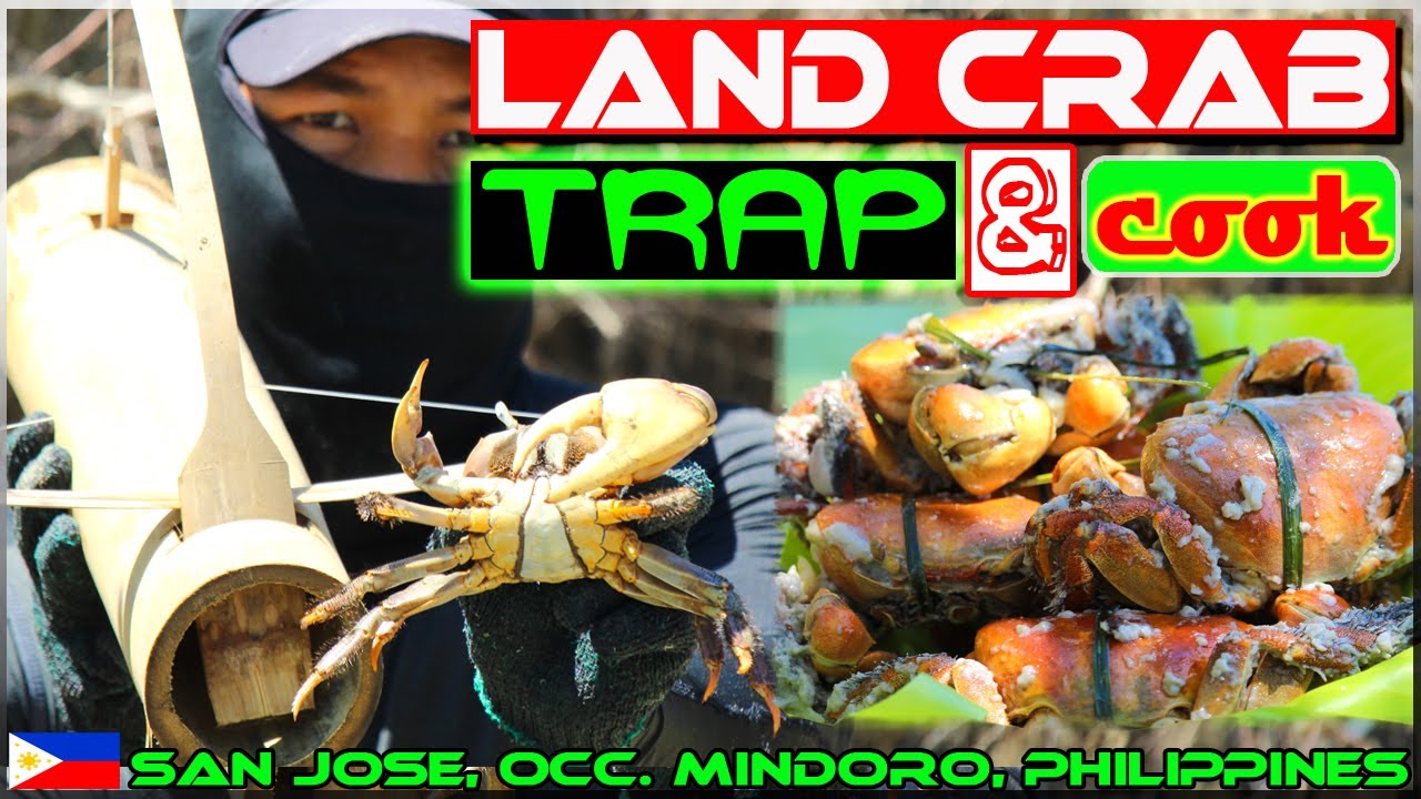 EP95 - Part2 - Land Crab (Kuray) Catch 'n Cook using 
