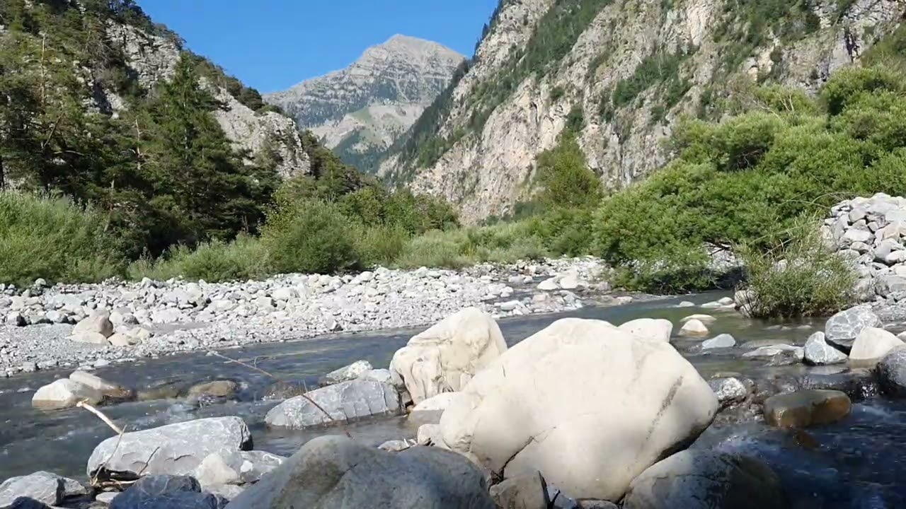 ALPES DE HAUTE PROVENCE La tête noire 