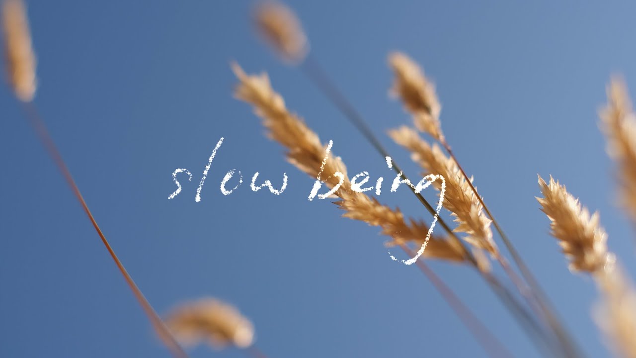Slow Being | Midsummer in the Southern Gulf Isles