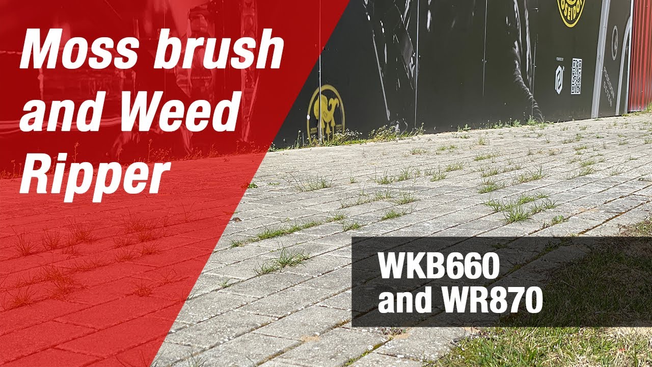 Madness ... This is how you remove moss and weeds quickly and effectively without chemicals