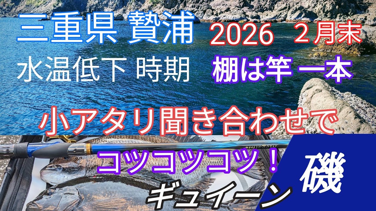グレフカセ釣り 水温低下時期！あなたならどう釣りますか⁈【磯釣り】【フカセ釣り】【紀州釣り】 #初心者必見グレ釣り #釣りメジナ #フカセ釣り　#釣り