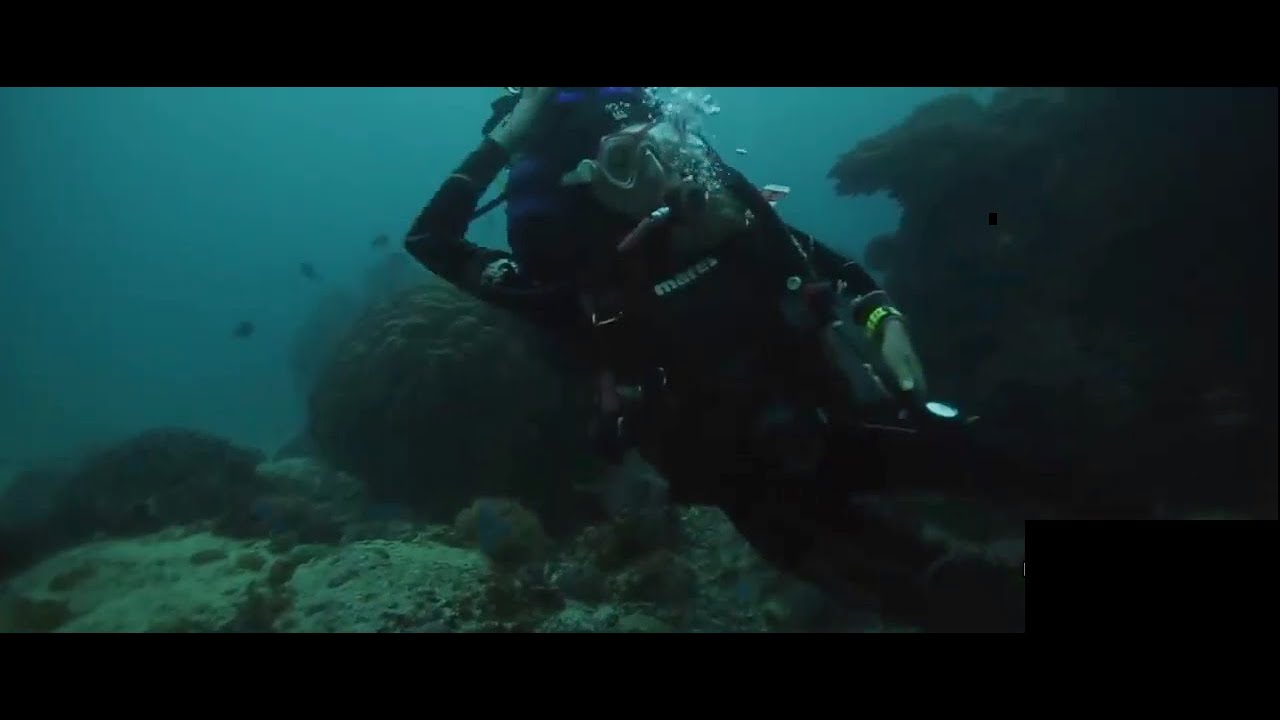 Diver wants to drown his wife to get insurance money!