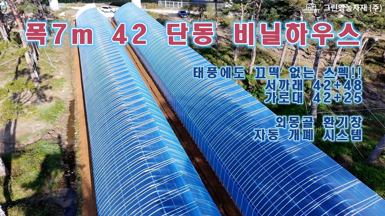 태풍에도 끄덕 없는 폭7m 42+48 단동하우스