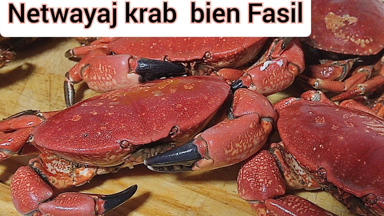 koman Pou bien netwaye EPI tranpe Krab !!!🦀🦀#haitiancreator #crabes #krab