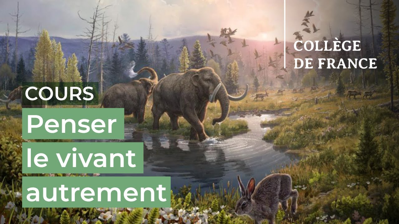 Penser le vivant autrement (3) - Virginie Courtier-Orgogozo (2022-2023)