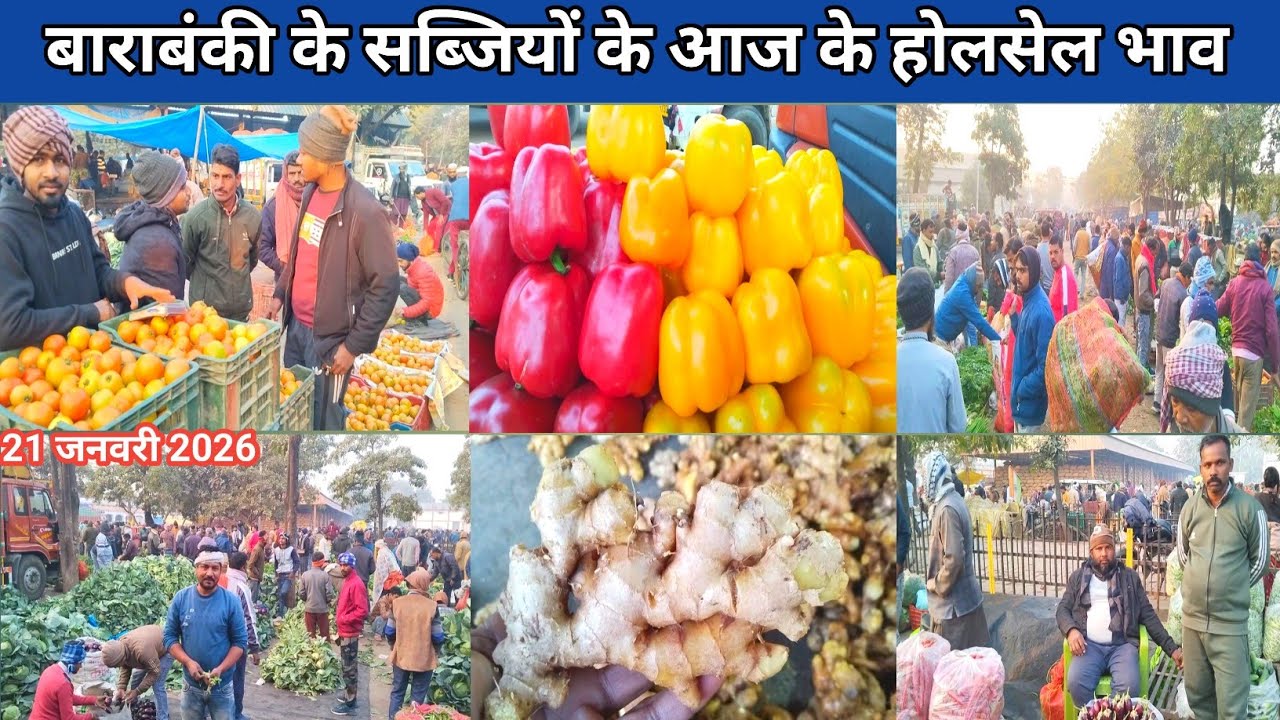बाराबंकी के सब्जियों के आज के होलसेल भाव 21 जनवरी 2026 🍊 sabjiyon ka bhav 🍇 vegetable price today 
