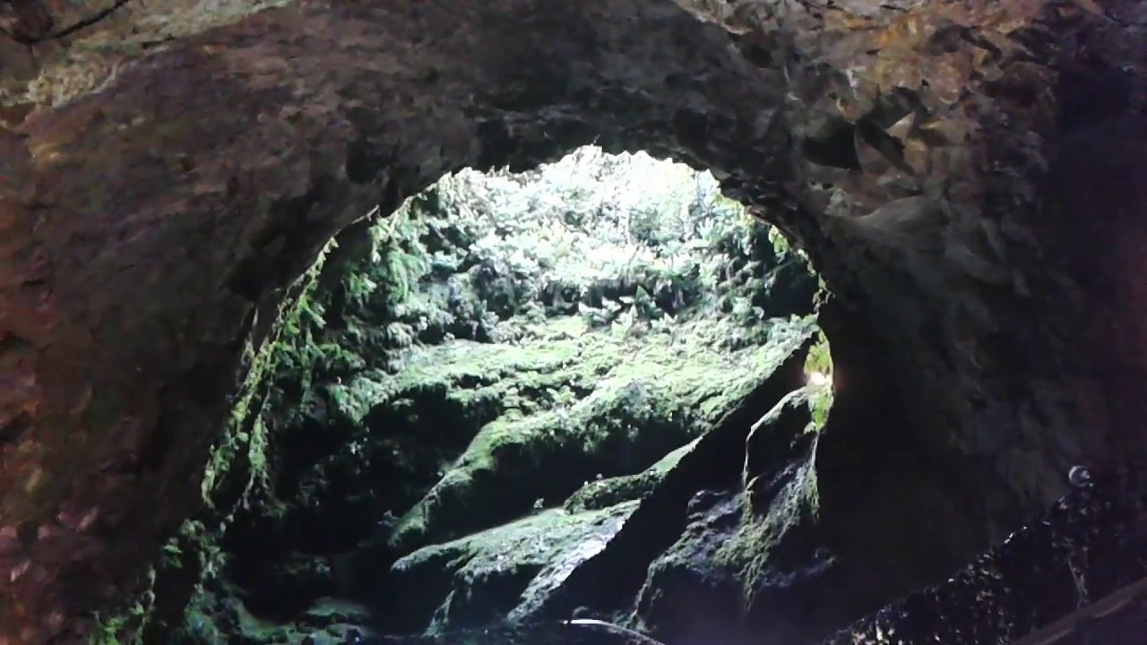 Algar do Carv&atilde;o - Cavidade de um Vulc&atilde;o -Inside a volcano