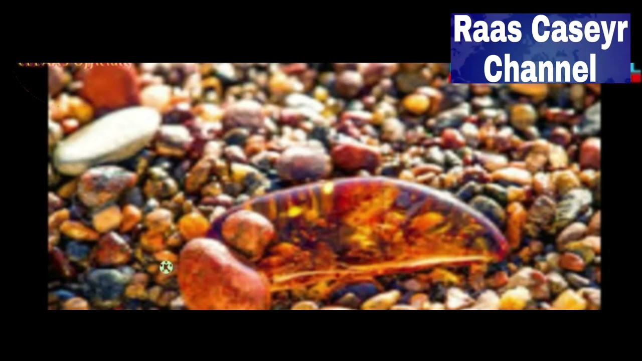 Meelaha Macdanta Laga Helo Soomaaliya